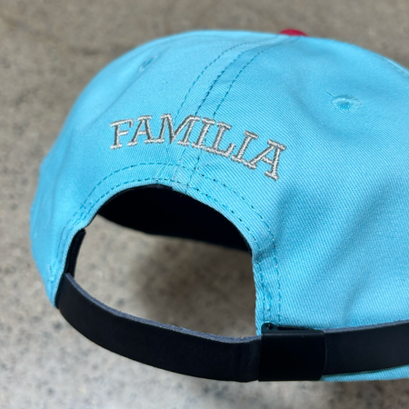 Close detail of silver embroidered "familia" over closure.