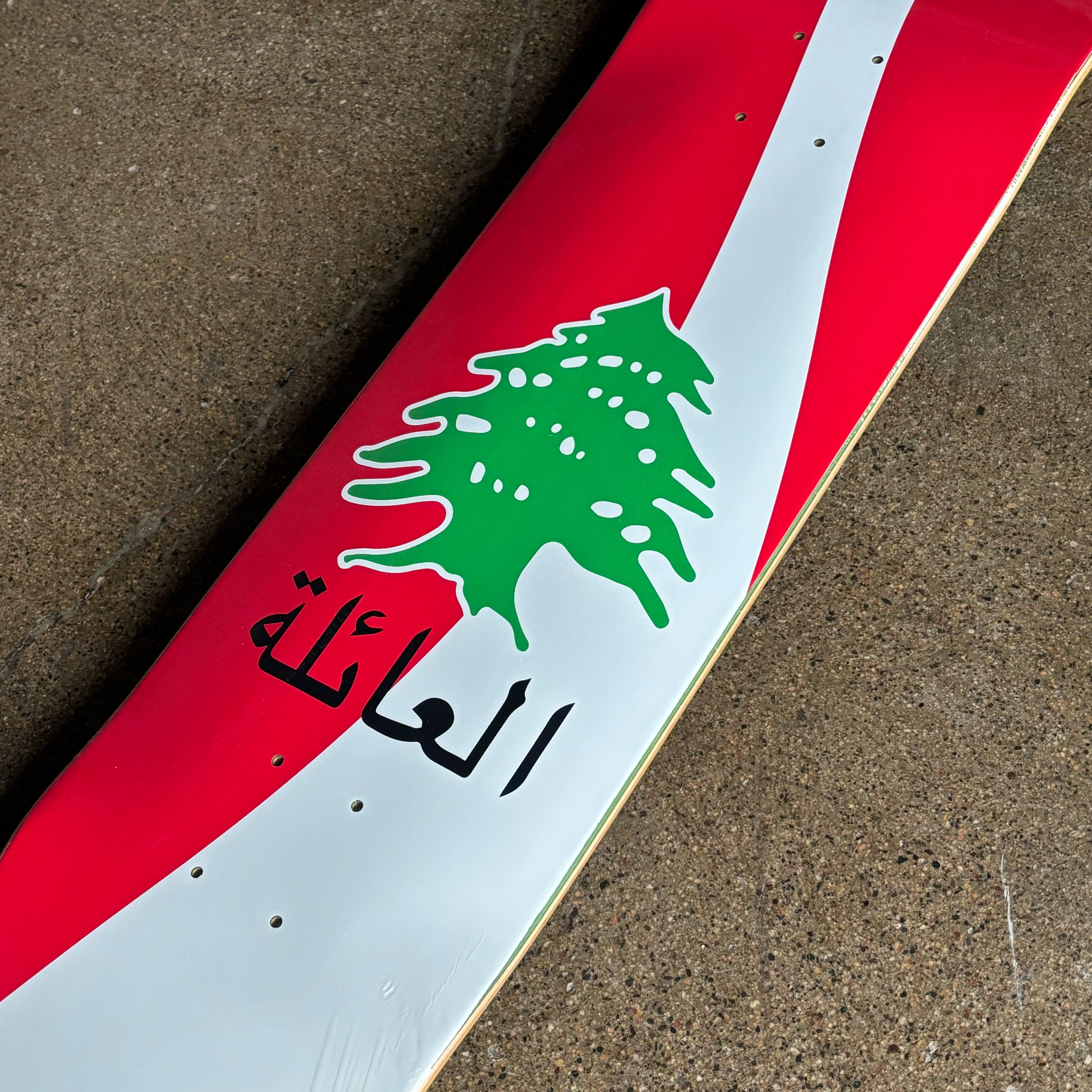 Close detail of green cedar tree and 