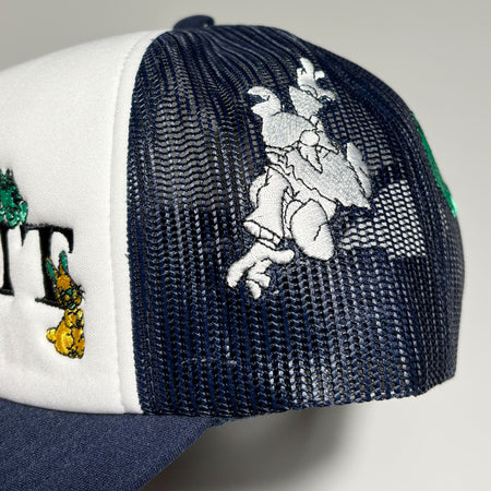 Close detail of embroidered characters