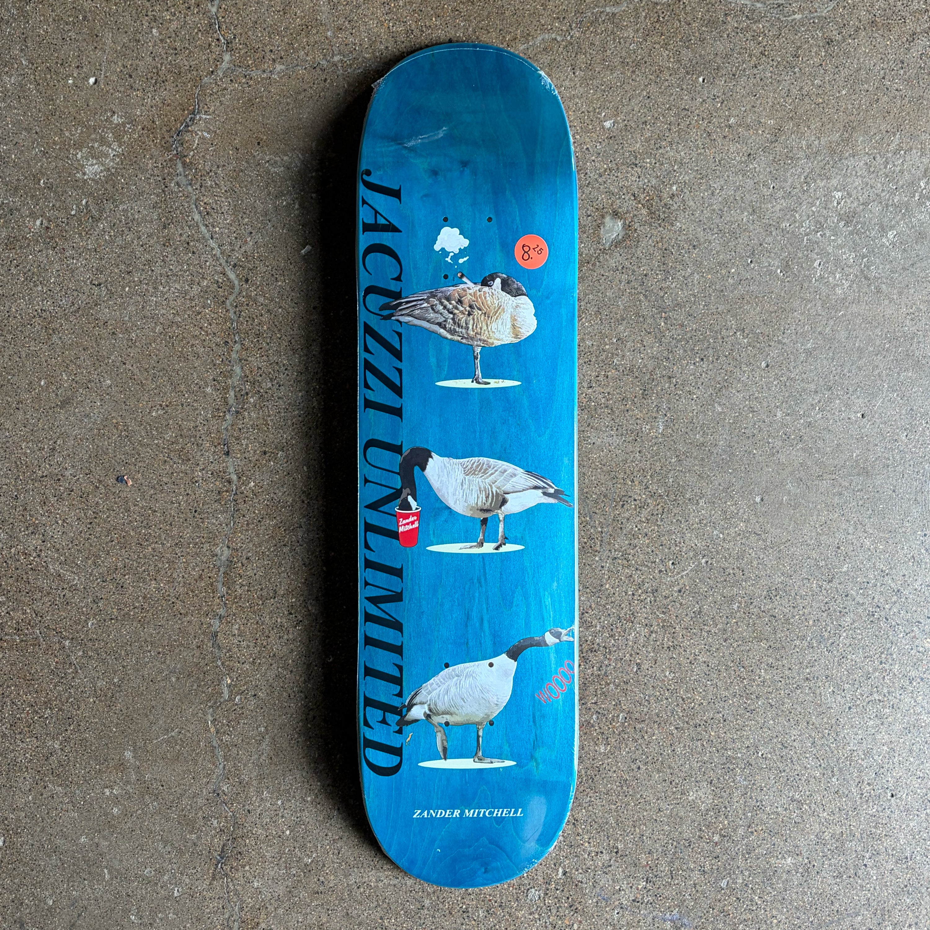 Full image of Jacuzzi skateboard deck.
Canadian geese doing different activities on blue veneer background.
