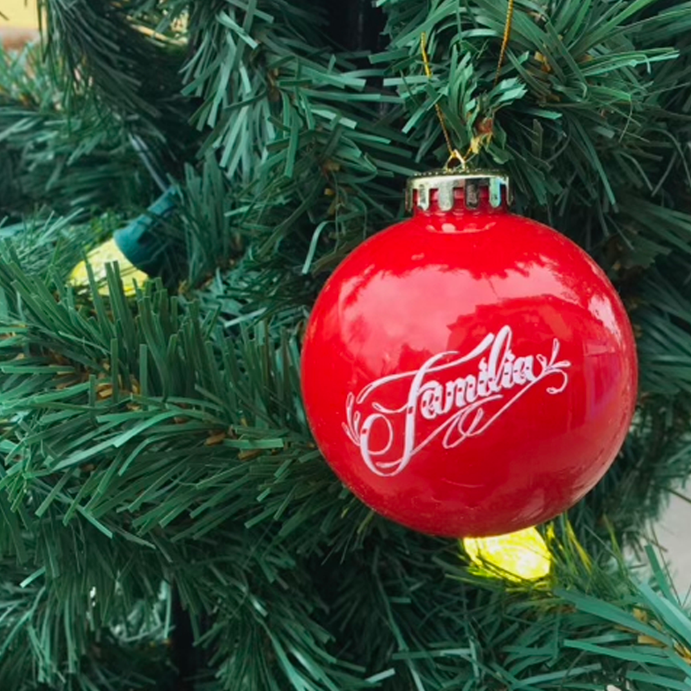 Familia Skateboard Shop