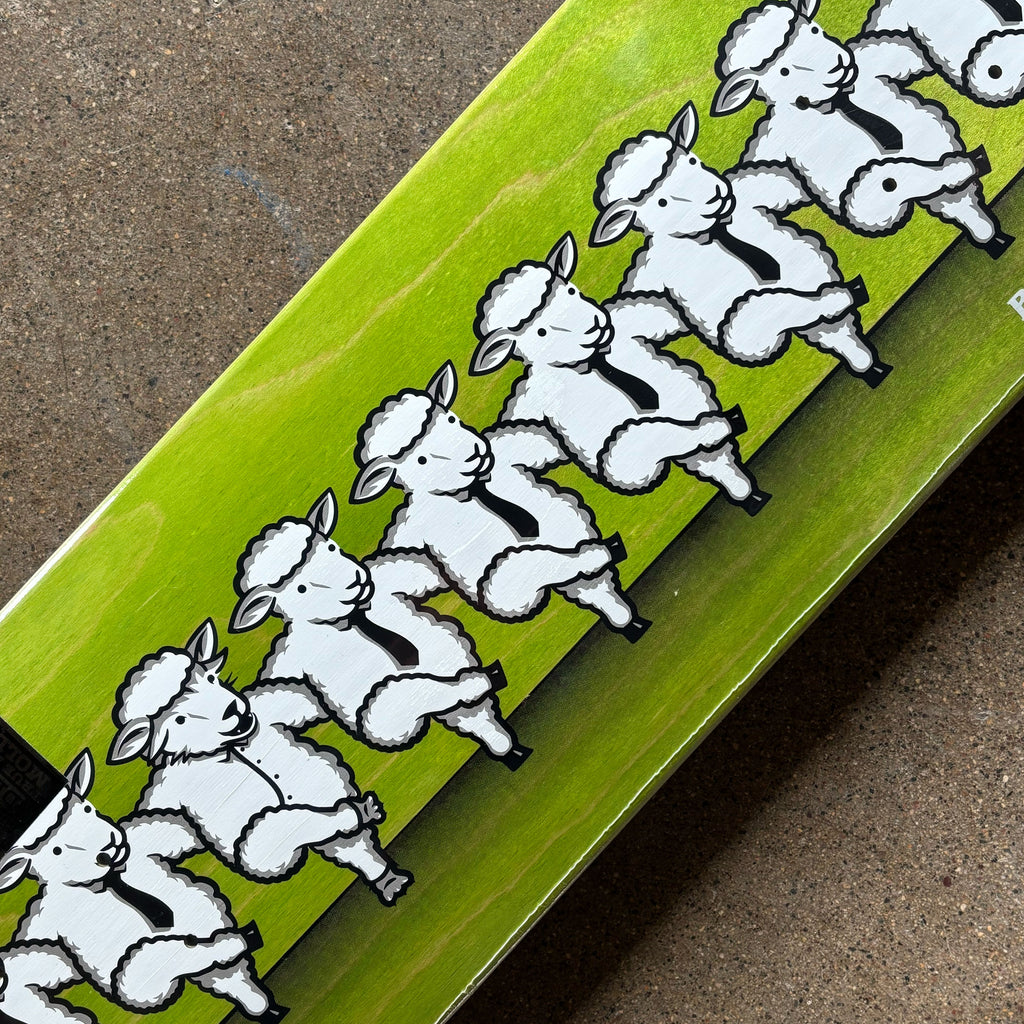 Close detail of dancing sheep.