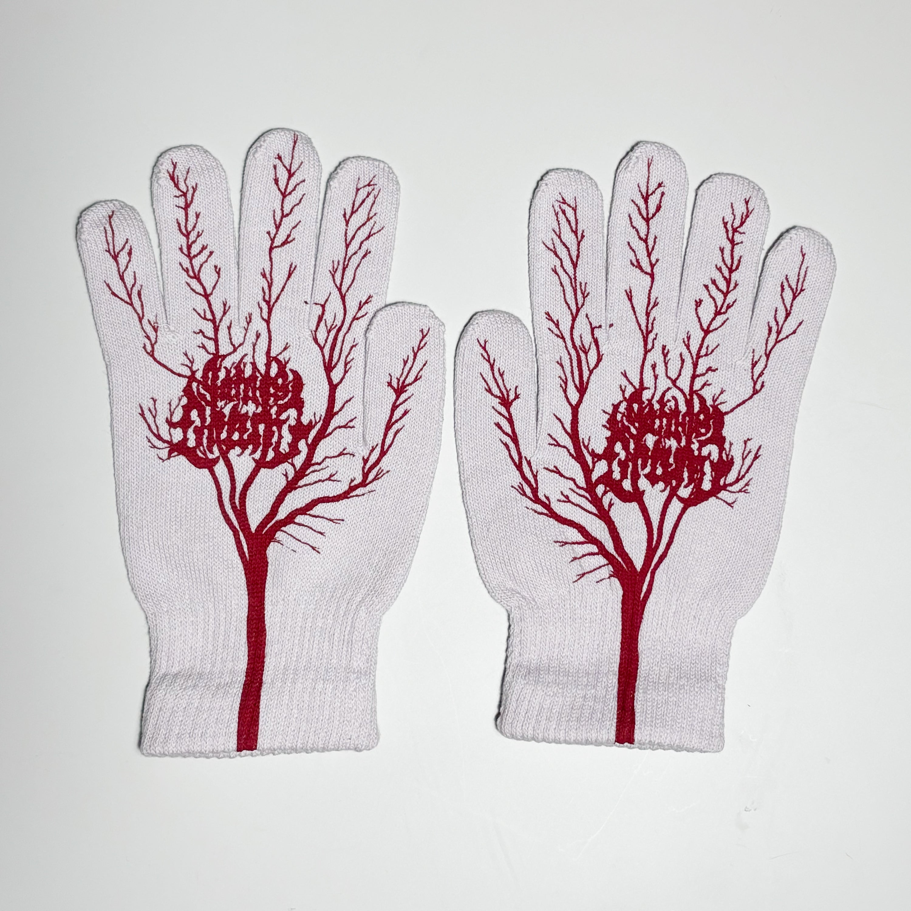 Familia Skateboard Shop